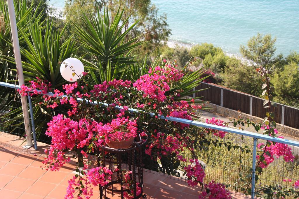 Camere & Case Vacanze Lo Scoglio Кастел ди Туза Екстериор снимка